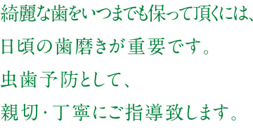 綺麗な歯をいつまでも保って頂くには、日頃の歯磨きが重要です。虫歯予防として、親切・丁寧にご指導致します。